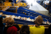Recycling Center Tourists Watching Conveyor Belt Sort Recyclables